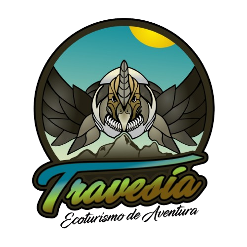 LOGO_TRAVESÍA-removebg-preview